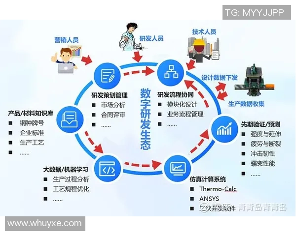 赛事组织管理创新与优化策略探讨及其对行业发展的推动作用