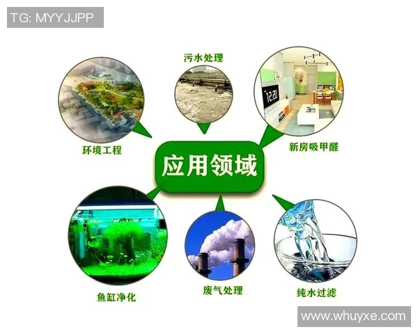 创新净水材料的研发与应用：提升水质净化效率的技术突破与挑战